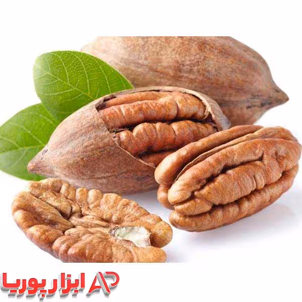 نهال گردو پکان قرمز