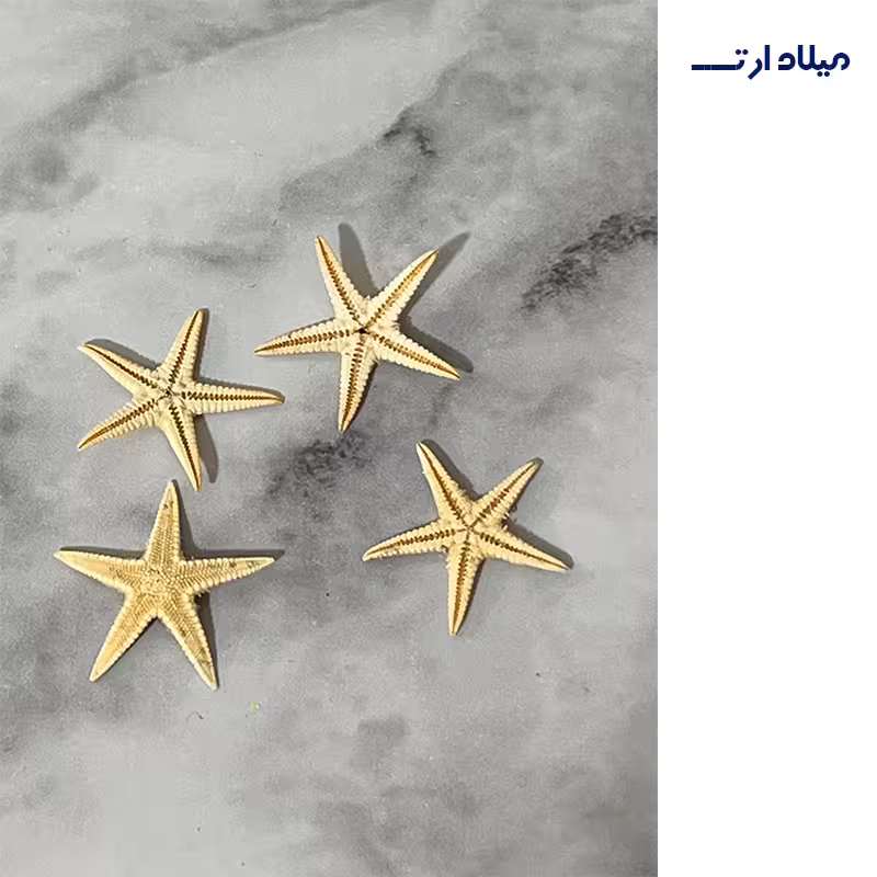 تزیینات ستاره طبیعی 4 عددی 2.5سانت