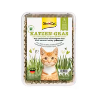 علف گربه مدل Barley Grass Seed برند GimCat جیم کت 150 گرمی