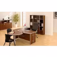 ست میز تحریر جلیس مدل بانه ابیانه