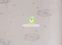 کاغذ دیواری نوجوان قاسدک آلبوم برندون (BRANDON) کد:7741