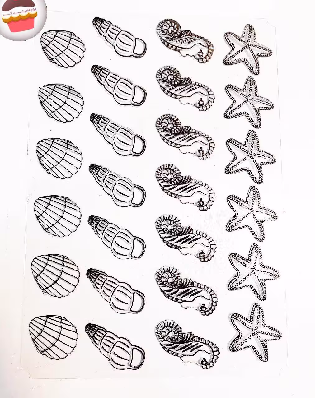 طلق شکلات صدف دریایی