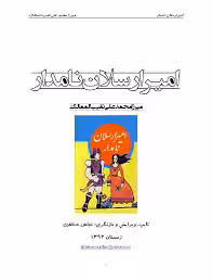 امیر ارسلان نامدار