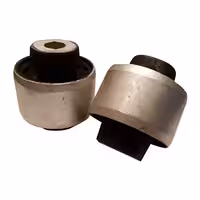 بوش طبق بزرگ فلوئنس