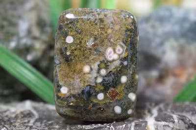 جاسپر اقیانوسی