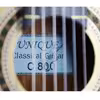 گیتار کلاسیک یونیک مدل C800 کد U1