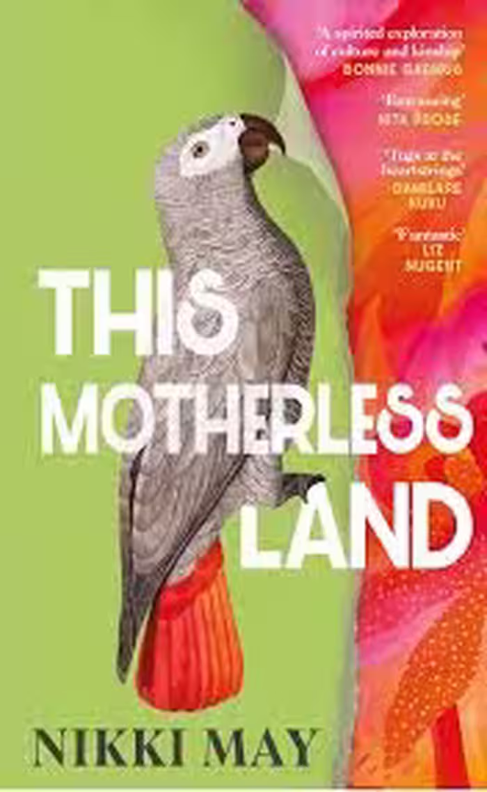 کتاب This Motherless Land