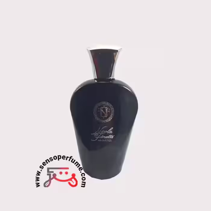 عطر ادکلن نیکولا فنیتی مگنتیکس | nicola finetti magnetics