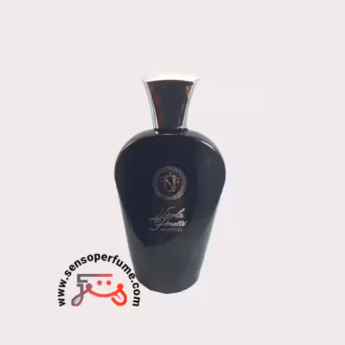 عطر ادکلن نیکولا فنیتی مگنتیکس | nicola finetti magnetics