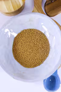 بسته 100 گرمی بذر گیاه خردل
