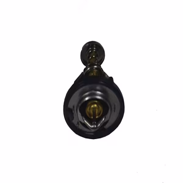 ترموستات ام وی ام X33 اصلی