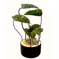 آب نما مدل گلبرگ کد 60CM