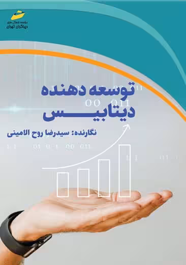 توسعه دهنده دیتابیس روح الامینی رضاپور دیباگران تهران