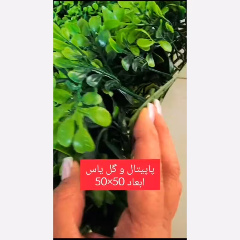 گرین وال پاپیتال و گل یاس ابعاد 50در50 cm (دیوار سبز/گرینوال)(پس کرایه)