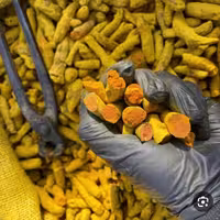 قلم زردچوبه(زردچوبه نسابیده)(ام تی سی MTC) 