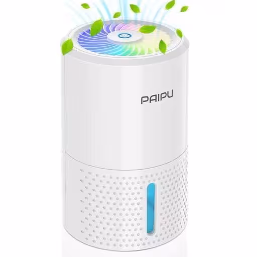 رطوبت گیر 1000 میلی لیتری PAIPU مدل MD303A بی صدا ایده آل برای از بین بردن رطوبت کپک مرطوب از حمام خانه آشپزخانه زیرزمین رشد / اتاق کودک دفتر و موارد دیگر -
