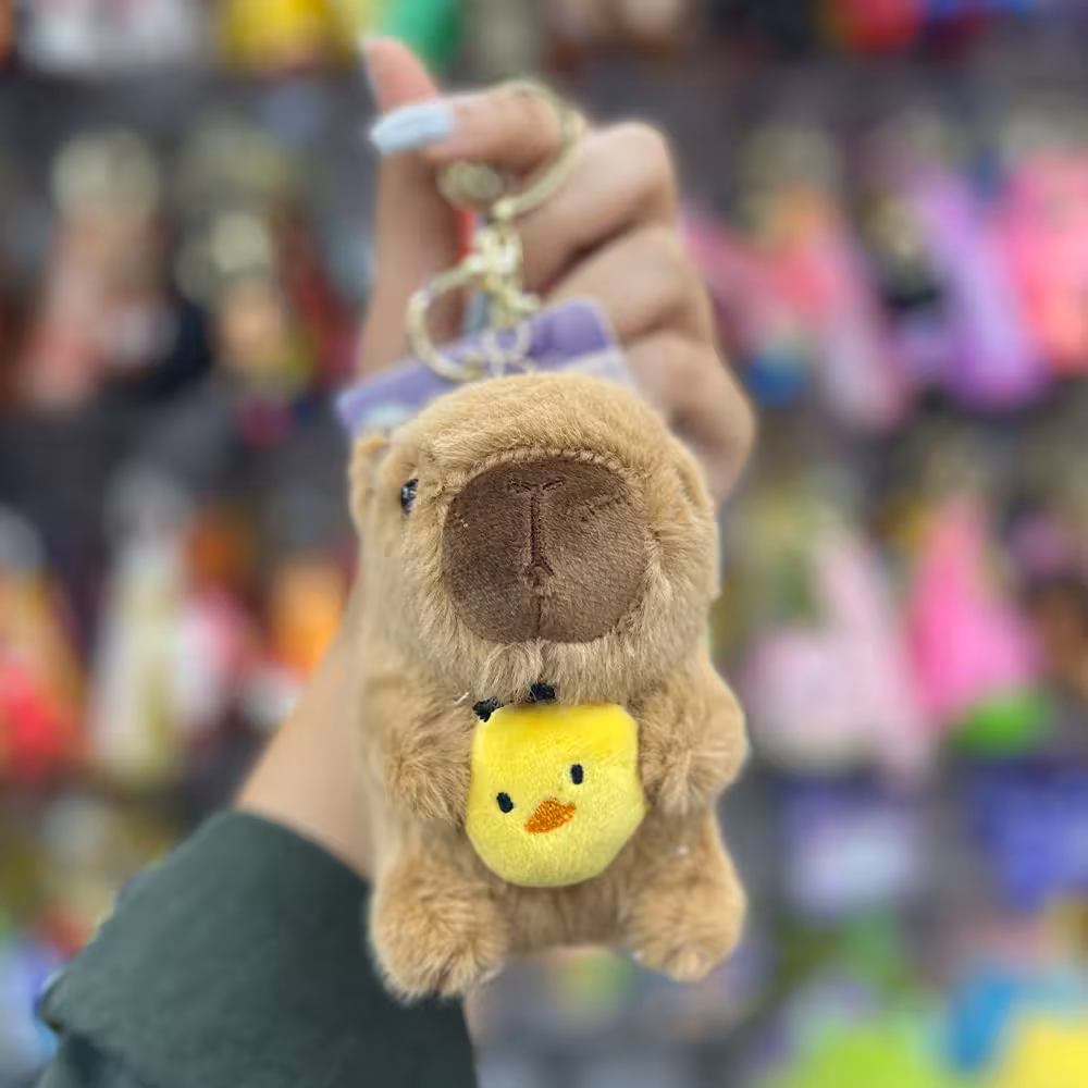 جاکلیدی سمور جوجه به دست