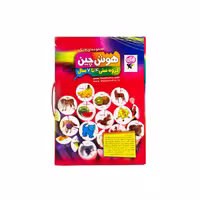 * بازی هوش چین چهار تکه زاغک (نو، قسطی، با تخفیف)