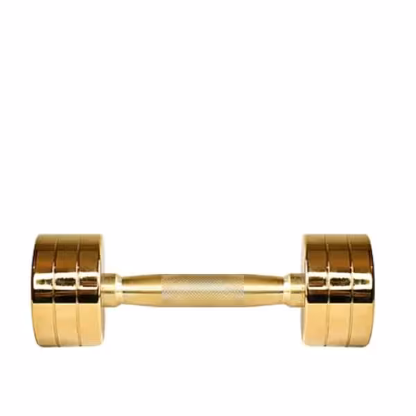 دمبل گرد طلایی وزن 20 کیلوگرم