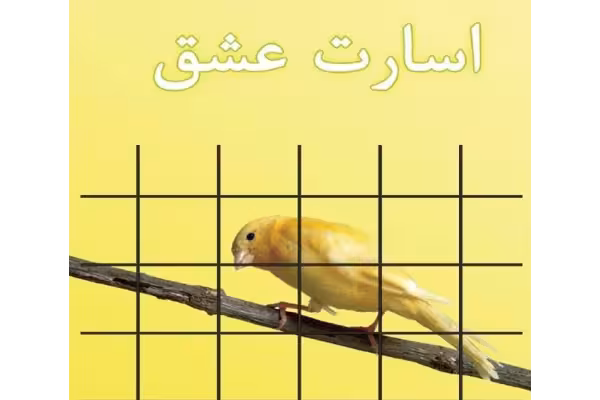 کتاب اسارت عشق 🩷 محمد ابوالقاسمی PDF - کتابخانه مجازی واتیکان