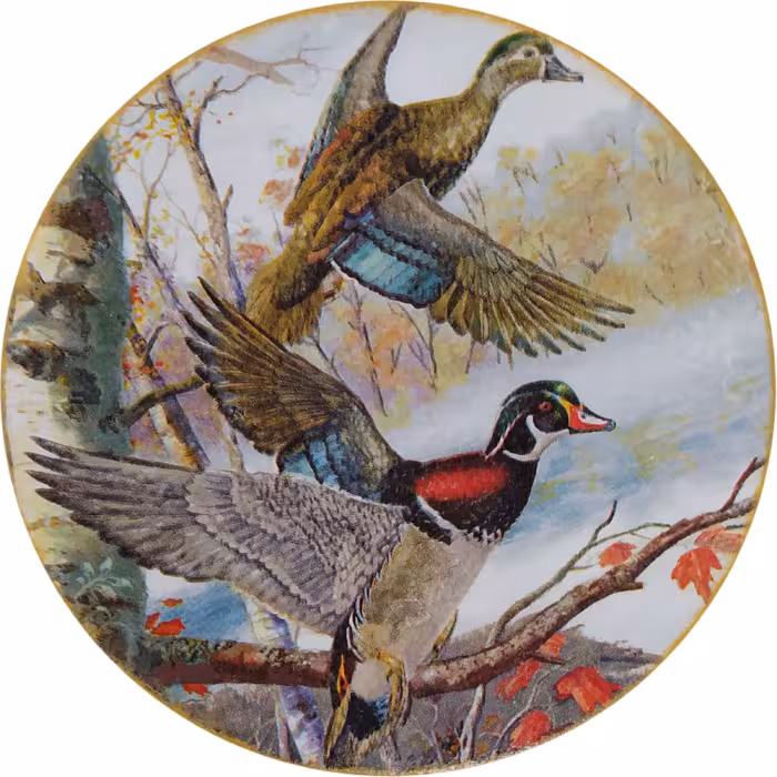 بشقاب دیوارکوب سفالی مدل مرغابی کد 2 مجموعه 2 عددی