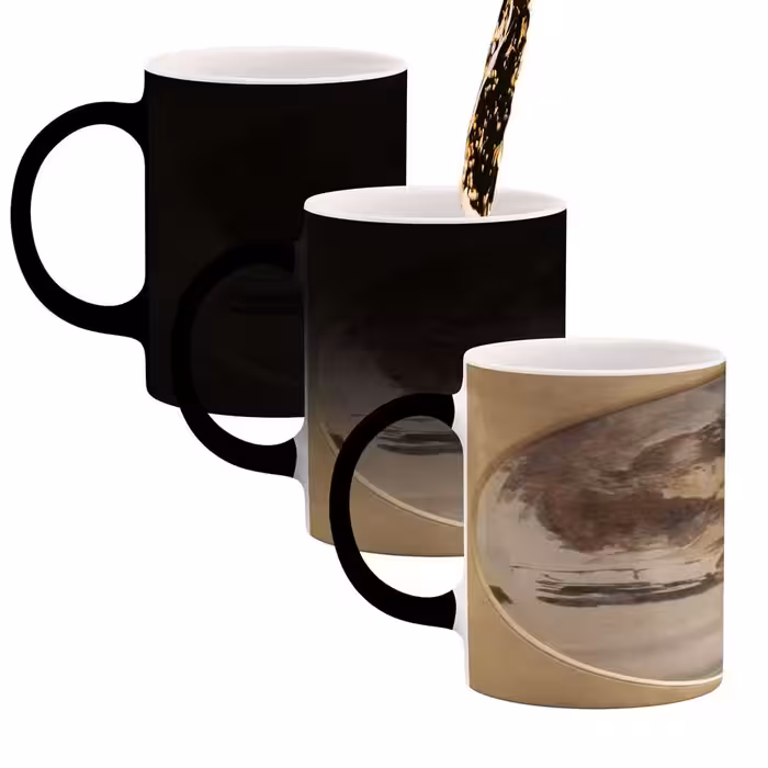 ماگ حرارتی کاکتی طرح نقاشی مدل mgh13795