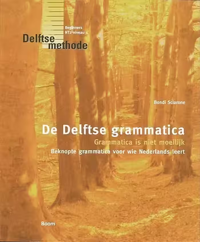 د دلفتسه گراماتیکا | کتاب هلندی De Delftse grammatica