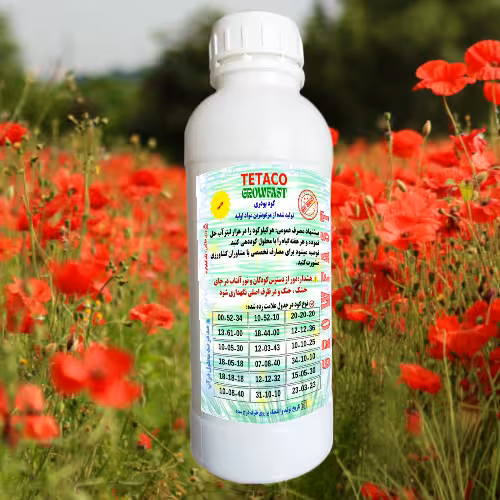 کود NPK 12-12-32 TE تتاکو مدل GROWFAST وزن 1 کیلوگرم