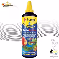 باکتری زنده باکتو اکتیو تروپیکال