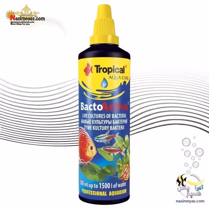 باکتری زنده باکتو اکتیو تروپیکال