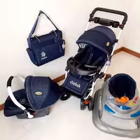 سرویس کالسکه دلیجان تشک چیچک