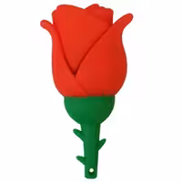 فلش کینگ فست مدل Tulip FL-10 با ظرفیت 32 گیگابایت