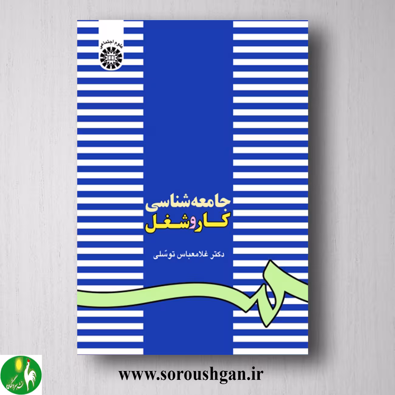 کتاب جامعه شناسی کار و شغل اثر غلامعباس توسلی