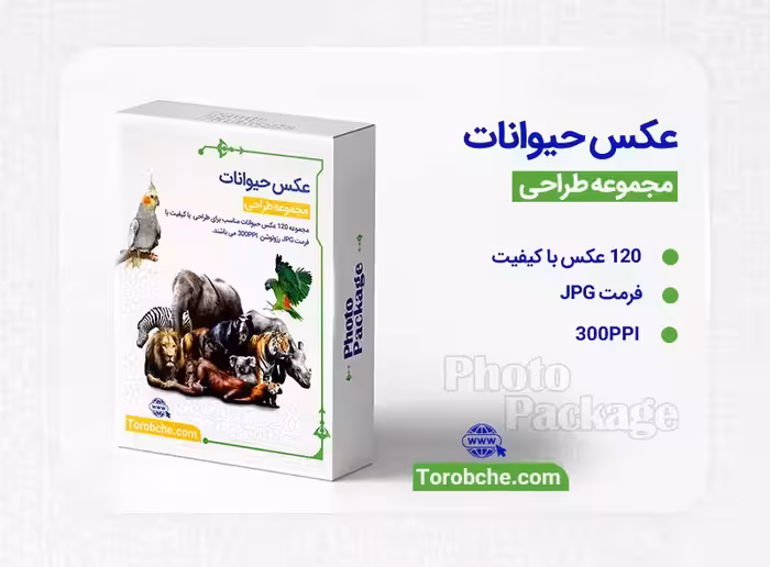 مجموعه 120 عکس حیوانات با کیفیت بالا | سری 1 | گرافیک با طعم تربچه