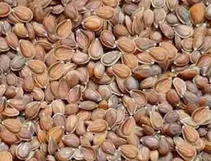 قدومه شیرازی (100گرمی )