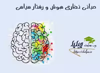 مبانی نظری هوش و رفتار سیاسی-42 صفحه - چیلپا