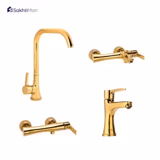 شیر توالت سکه مدل پارمیس طلایی