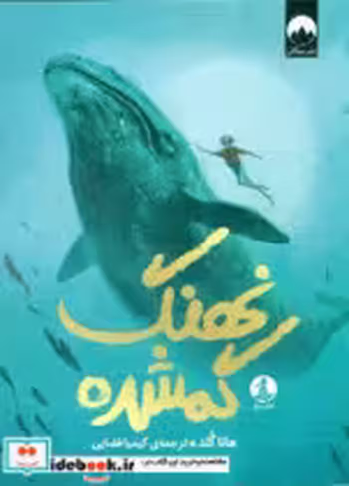 کتاب نهنگ گمشده نشر چار