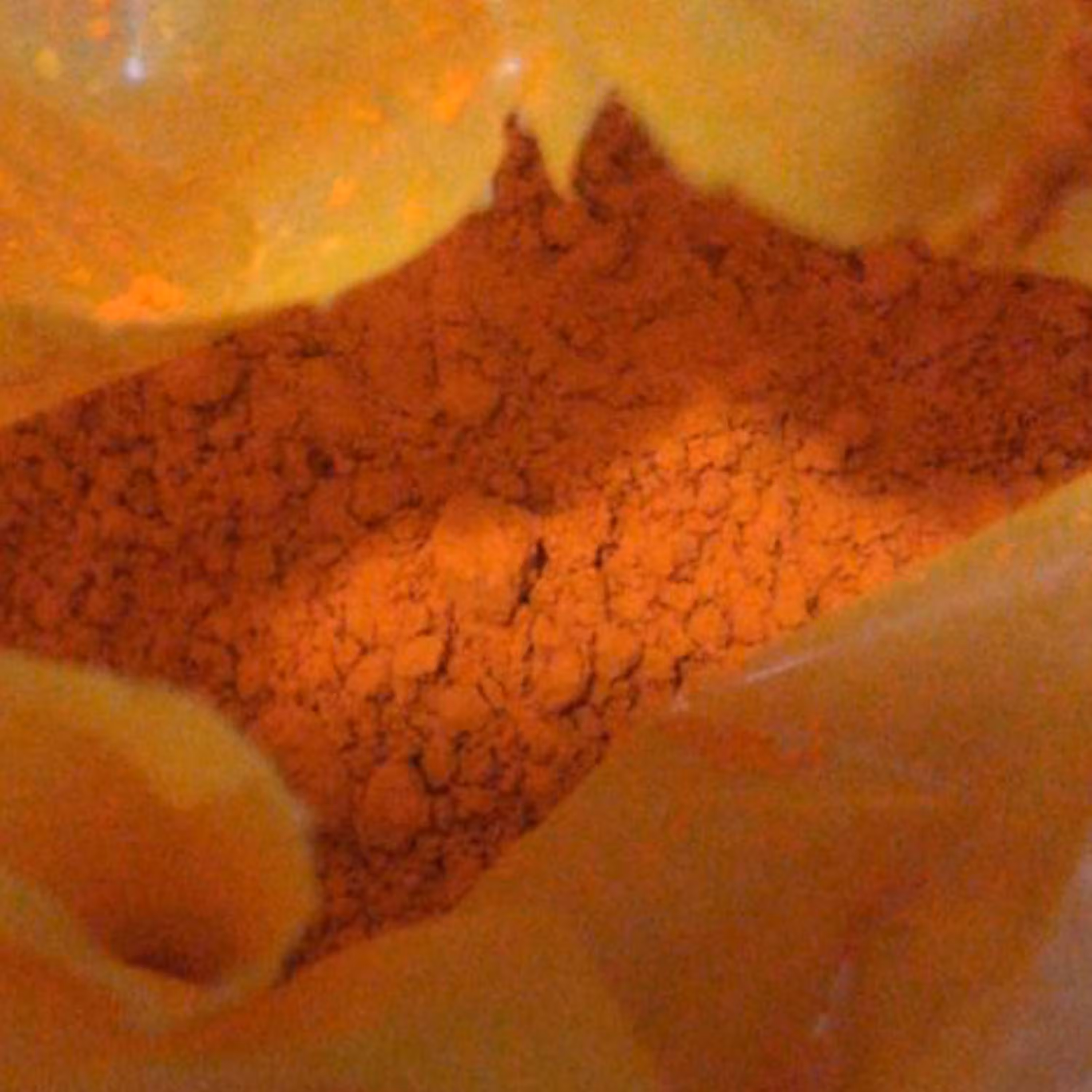 رنگ آرایشی بهداشتی زرد زعفرانی تارترازین 