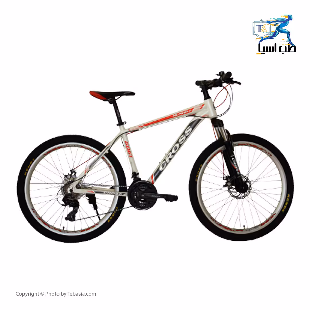 دوچرخه کوهستان کراس مدل alpina 1 سایز 26 اینچ