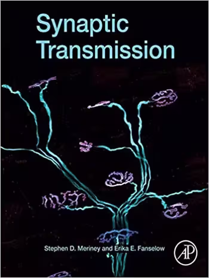󾕇 دانلود کتاب Synaptic Transmission, 2019 - دانلود کتاب های دانشگاهی