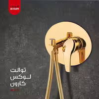 شیر توالت توکار لوکس شیذر مدل کارون
