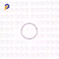 واشر دیفرانسیل پیکان تکسون -PGA