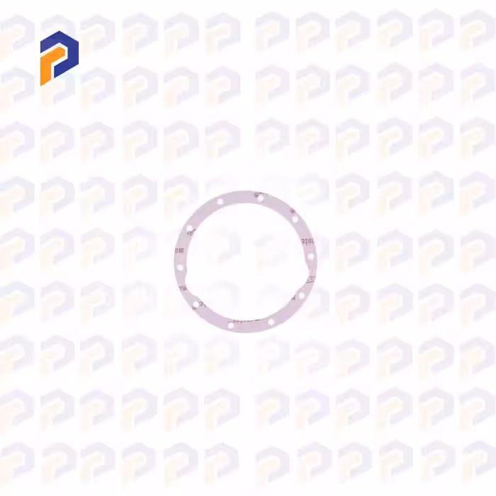 واشر دیفرانسیل پیکان تکسون -PGA