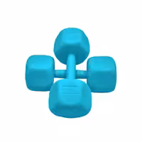 دمبل رادیس فیت مدل RFP-6 Power وزن 6 کیلوگرم بسته بندی دو عددی