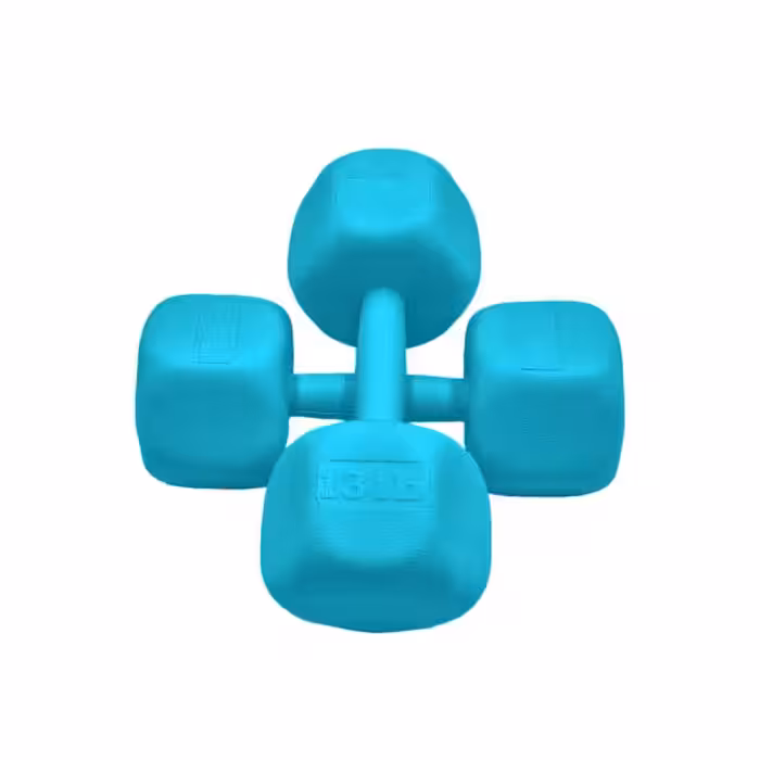 دمبل رادیس فیت مدل RFP-6 Power وزن 6 کیلوگرم بسته بندی دو عددی