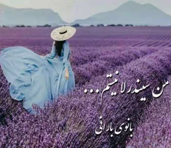 PDF رمان من سیندرلا نیستم
