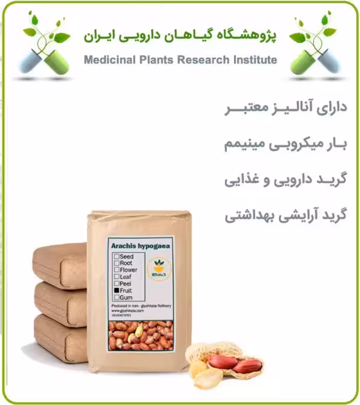 مغز بادام زمینی آستانه بوداده فله