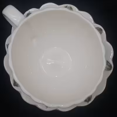  ست فنجان نعلبکی سرامیکی هیوا طرح پیچک کد 10880914