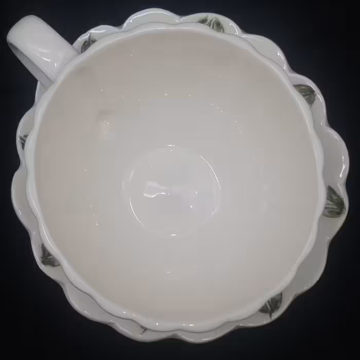  ست فنجان نعلبکی سرامیکی هیوا طرح پیچک کد 10880914